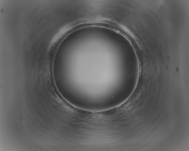 X0000073901456200608180946