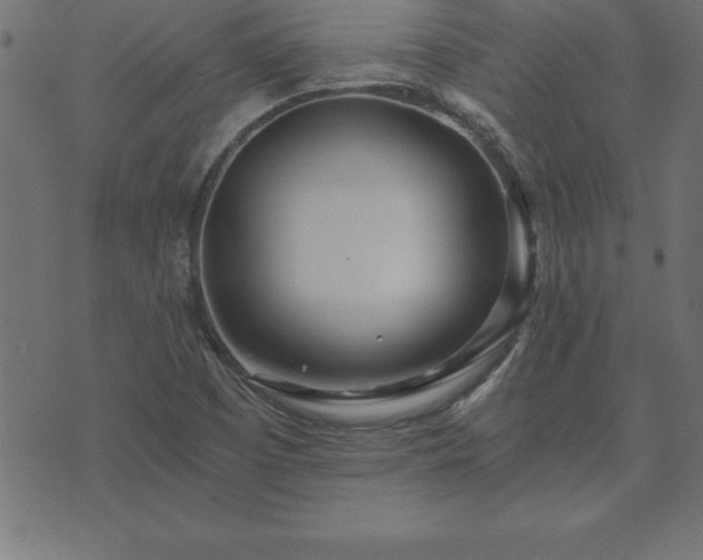 X0000073901457200608180946