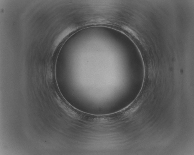 X0000073901458200608180946