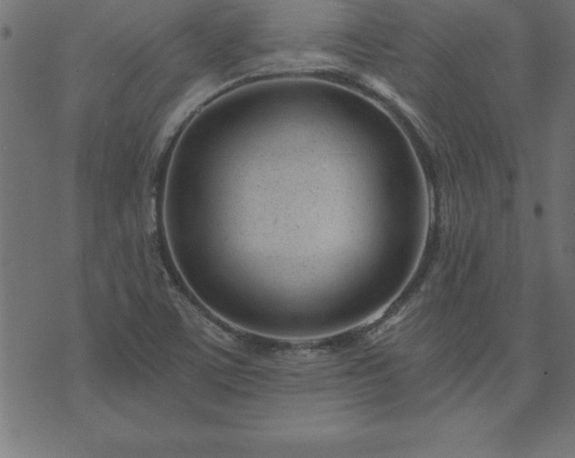 X0000073901459200608180946