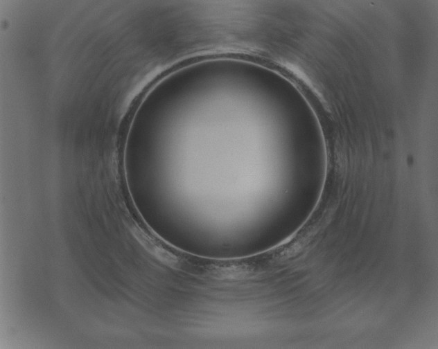 X0000073901460200608180946