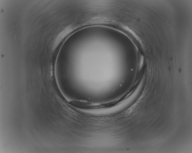 X0000073901461200608180946