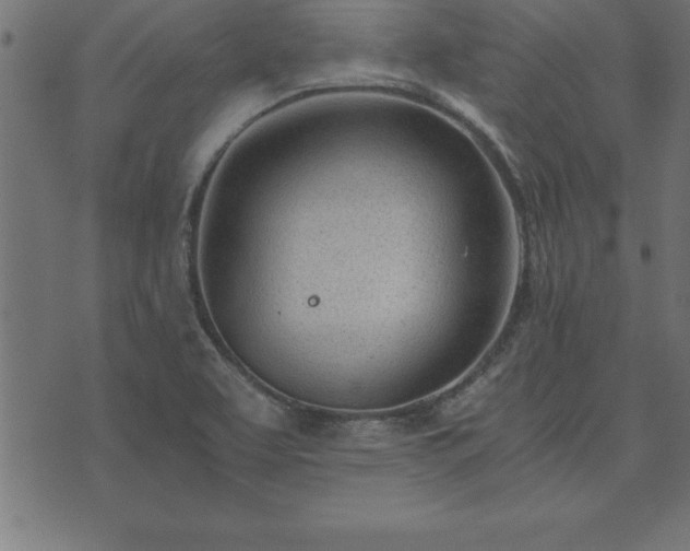 X0000073901463200608180946