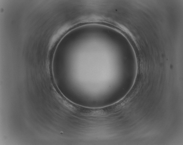 X0000073901464200608180946