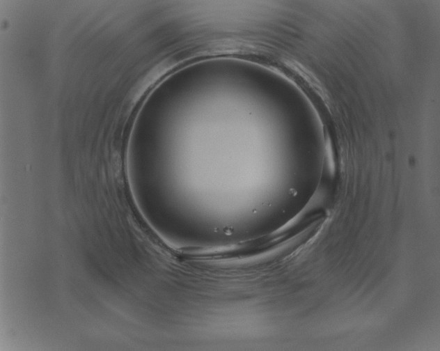 X0000073901465200608180946