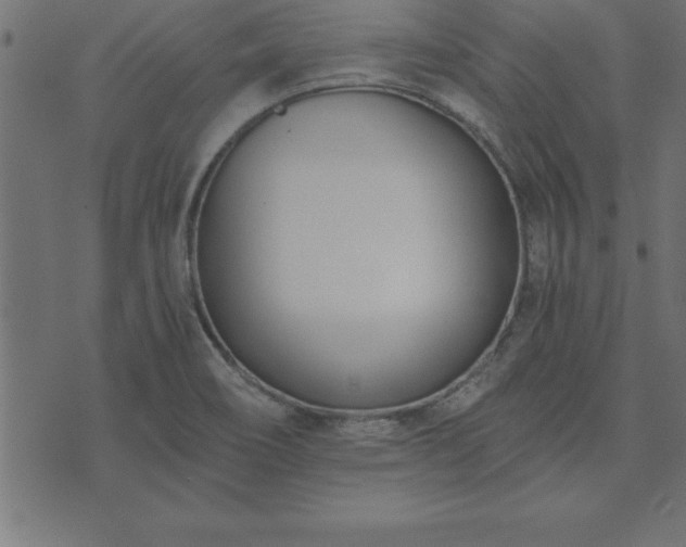 X0000073901466200608180946