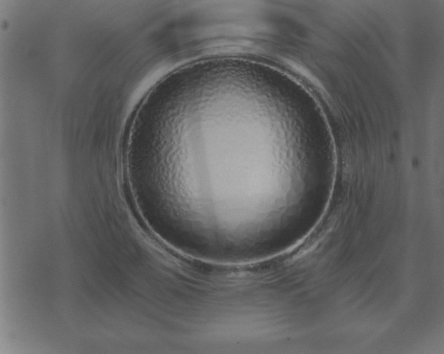 X0000073901467200608180946