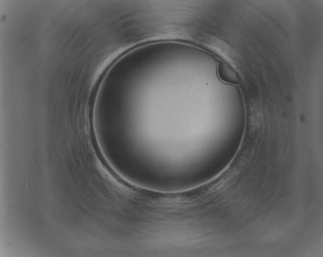 X0000073901468200608180946