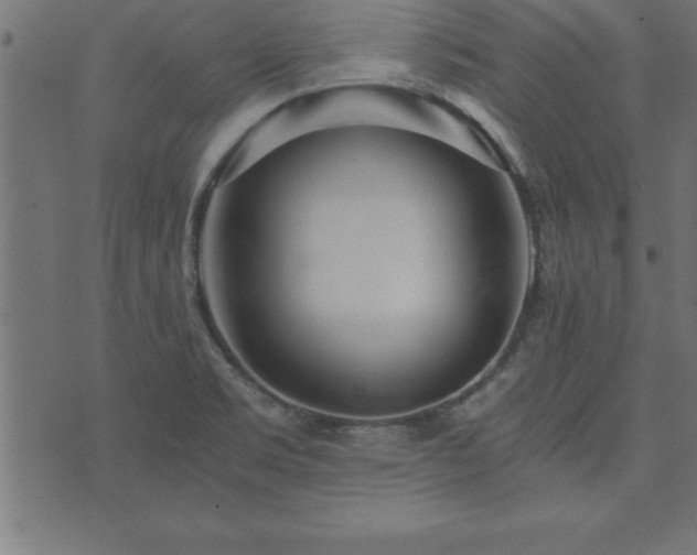 X0000073901469200608180946