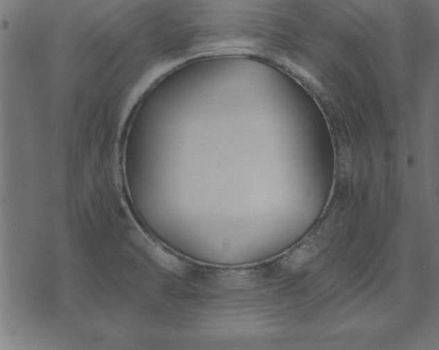 X0000073901470200608180946