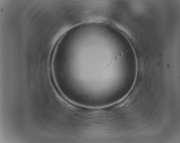 X0000073901471200608180946