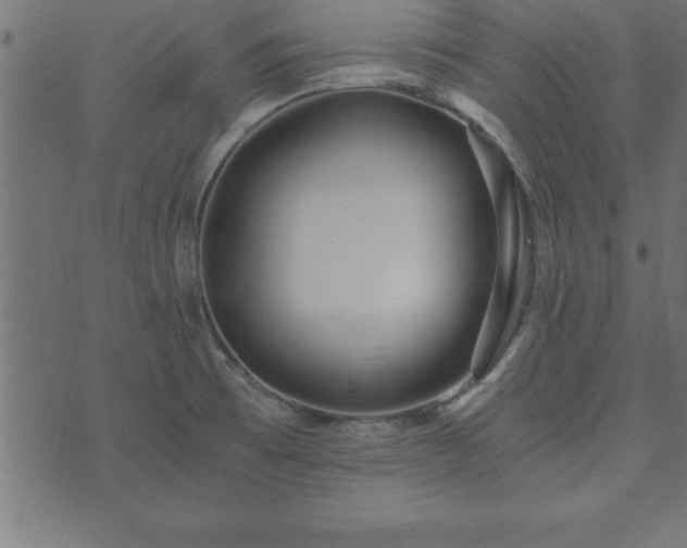 X0000073901473200608180946