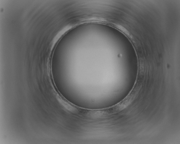 X0000073901474200608180946