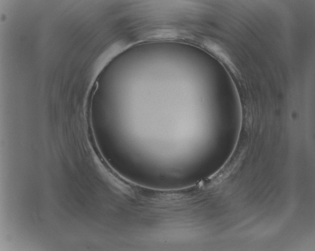 X0000073901475200608180946