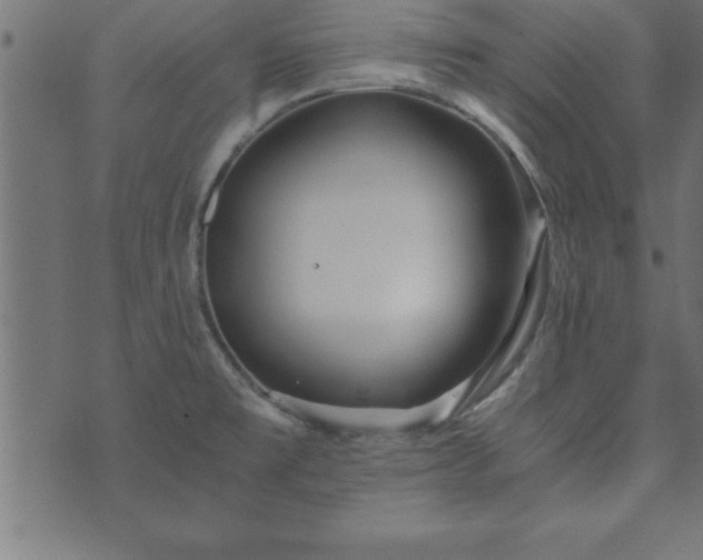 X0000073901477200608180946