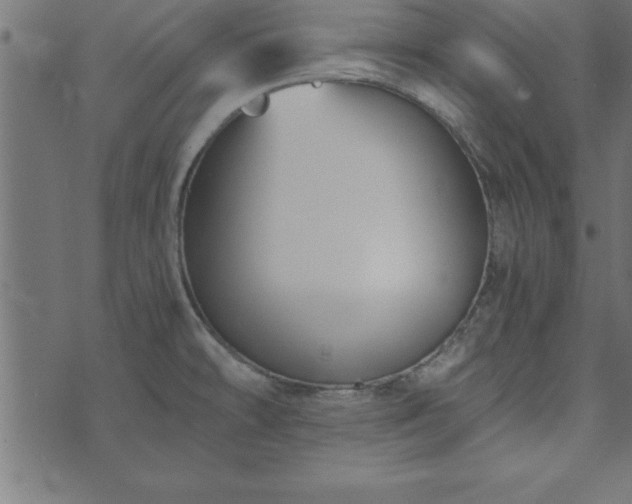 X0000073901478200608180946