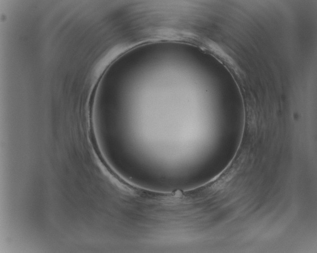 X0000073901479200608180946