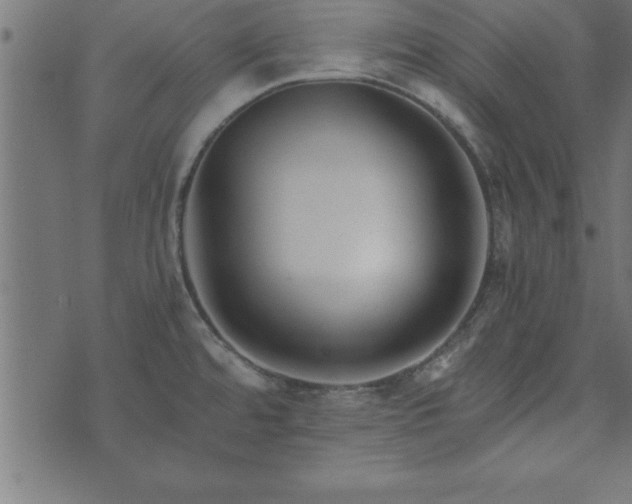 X0000073901480200608180946