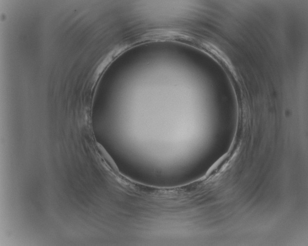 X0000073901481200608180946