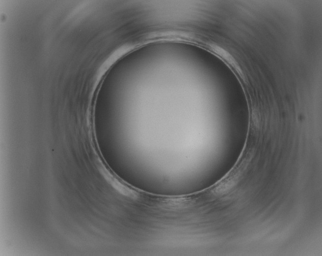 X0000073901482200608180946