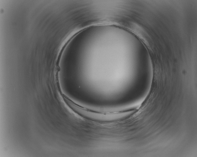 X0000073901484200608180946