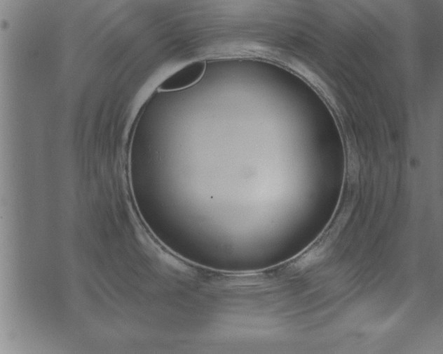 X0000073901486200608180946