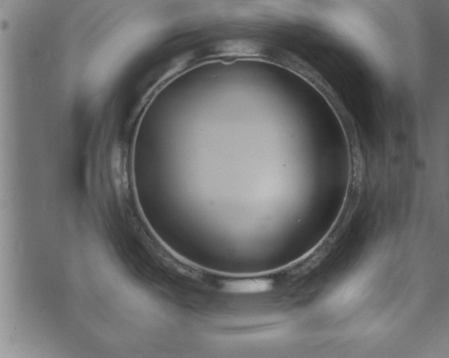 X0000073901487200608180946