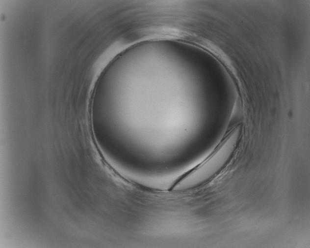 X0000073901488200608180946