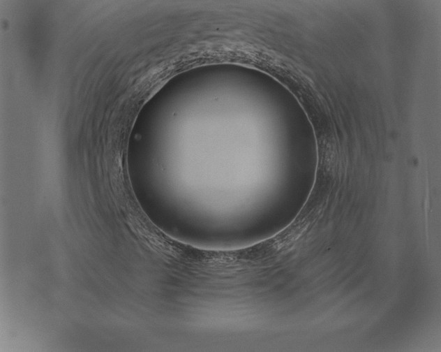 X0000073901489200608180945