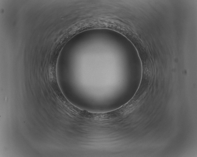 X0000073901490200608180945