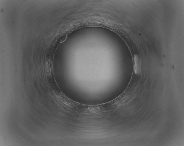 X0000073901491200608180945