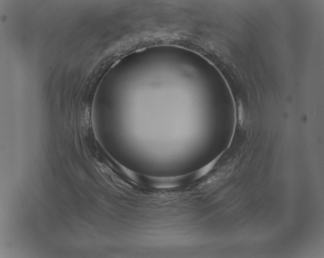 X0000073901492200608180945