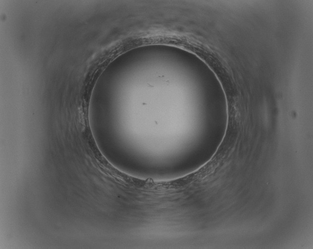 X0000073901493200608180945