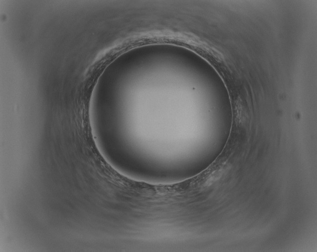 X0000073901494200608180945