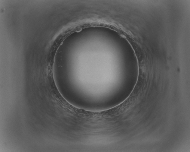 X0000073901495200608180945