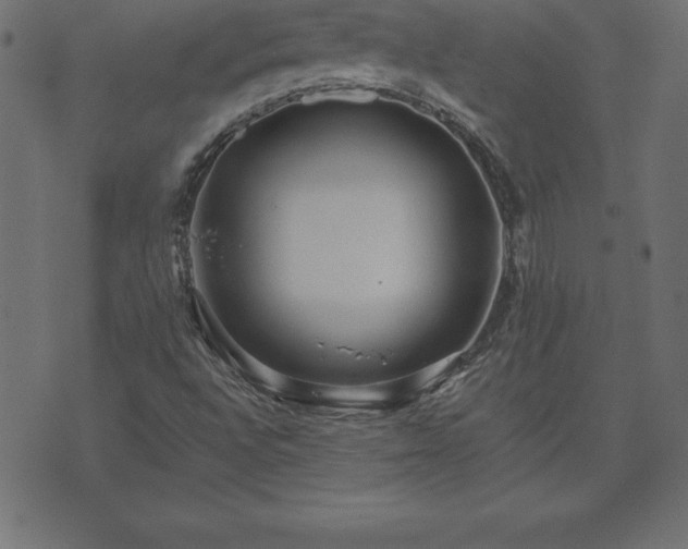 X0000073901496200608180945