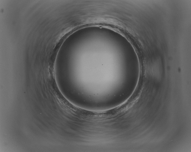 X0000073901497200608180945