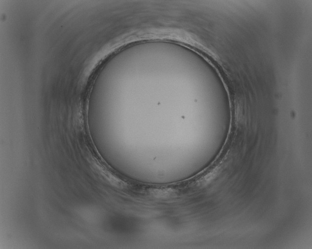 X0000073901498200608180945