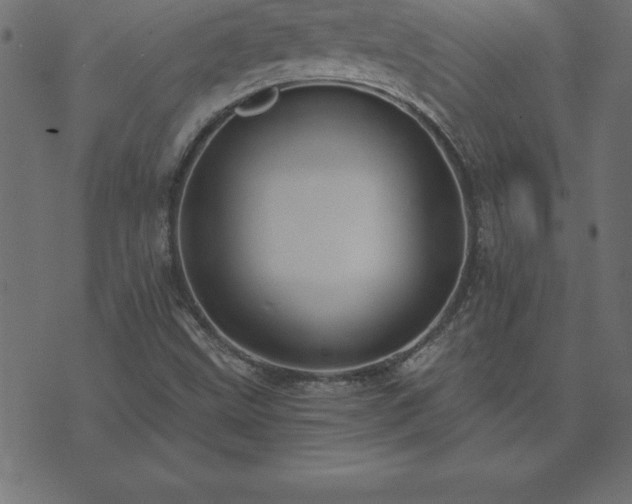 X0000073901499200608180945