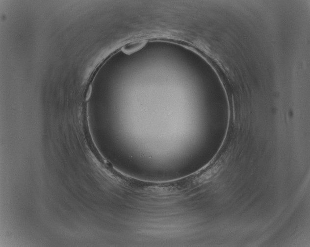 X0000073901500200608180945