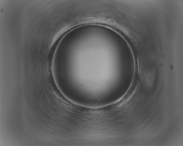 X0000073901501200608180945