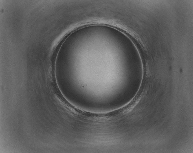 X0000073901502200608180945