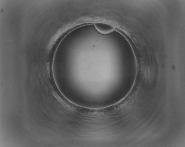 X0000073901503200608180945