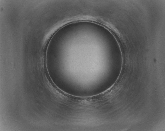 X0000073901504200608180945