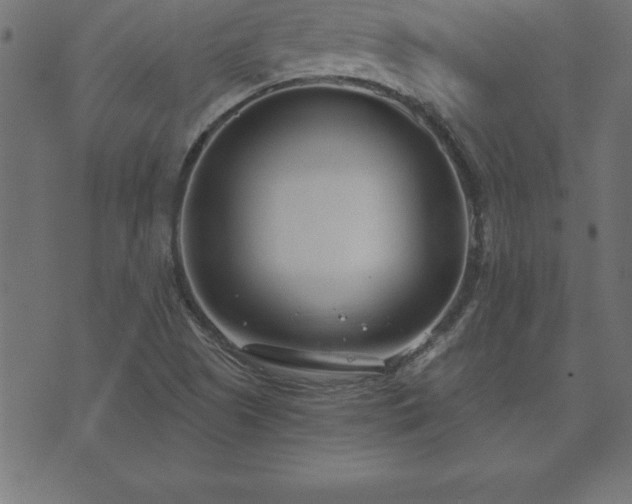 X0000073901505200608180945