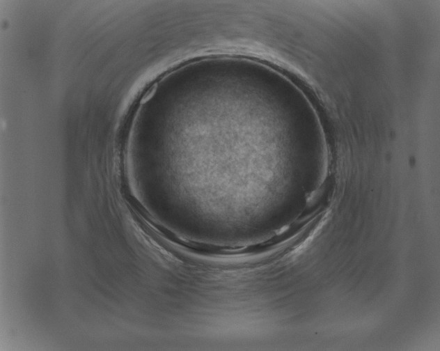 X0000073901506200608180945