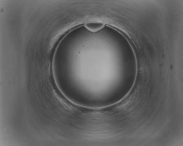 X0000073901507200608180945