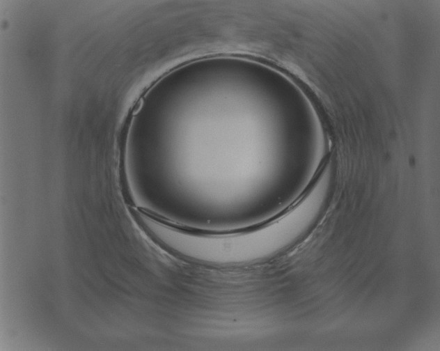 X0000073901508200608180945