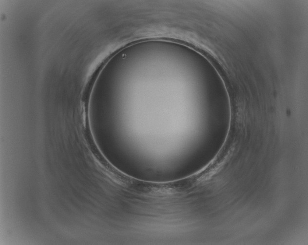 X0000073901509200608180945