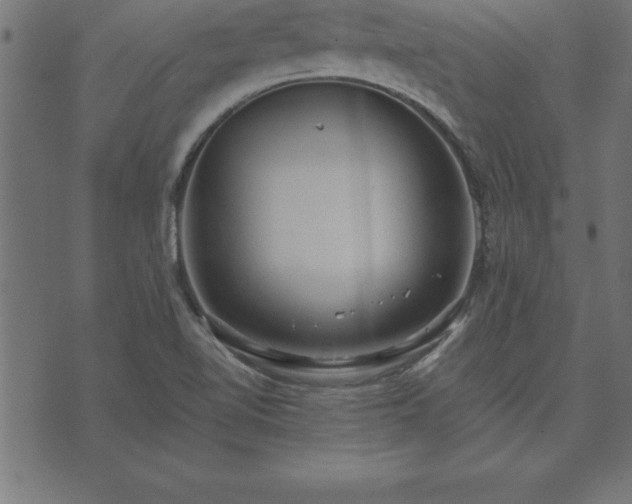 X0000073901510200608180945